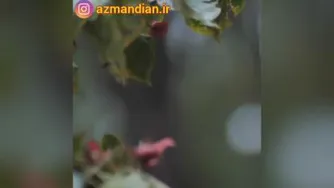 سوال چه میکنددرجهان هستی؟