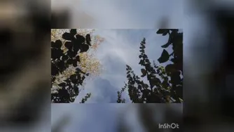 روز نوزدهم سپاسگزاری. پیامدهای شگفت‌انگیز 💚🙏