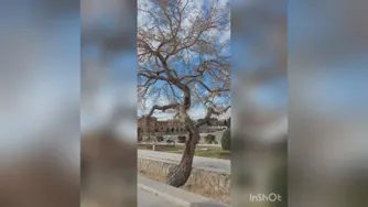 روز چهاردهم دوره سپاسگزاری. شگفتی و معجزه در سلامتی❤