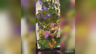 روز دوازدهم دوره سپاسگزاری. روزی شگفت‌انگیز داشته باشید🙏💚