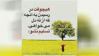 دلایل شکست و موفقیت در آینوتی.