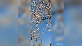 دوره سپاسگزاری مقدمه و کلیات