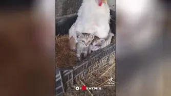 باز کنید تا سورپرایز شوید😍