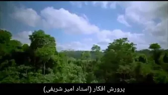 توکّل قانون جذب امیر شریفی