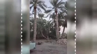 تاب بازی هیجانی