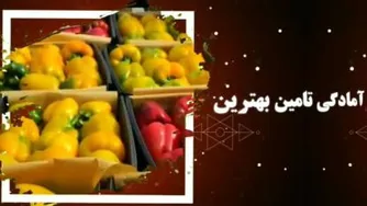 مجموعه تامین و صادرات محصولات گلخانه  ای مهندس اکبر رضایی