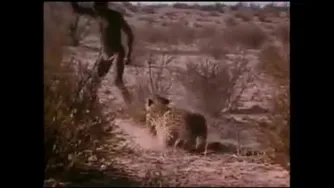 جرات انسان با ایمان واقعی