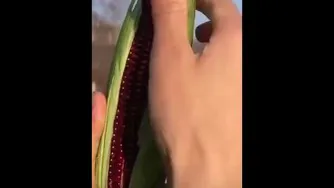 چقدر خوشرنگهههه