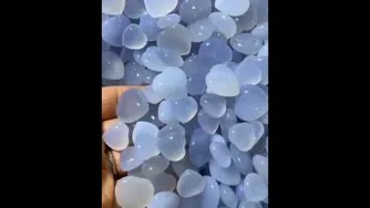 بدون شرح
