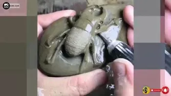 حشرات سنگی باورنکردنی!