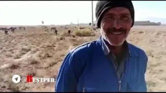 پرورش الاغ