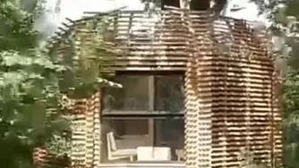 جنگل های فرانسه