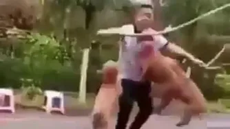 کارش معرکس👌👏