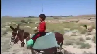 کوچکترین کودک دامدار نمونه ایران