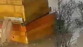 آموزش زنبورداری