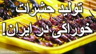 تولید حشرات خوراکی