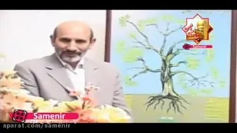 🔴اثرات نعنا گیاه معجزه