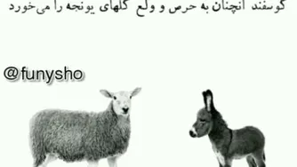 انگیزشی