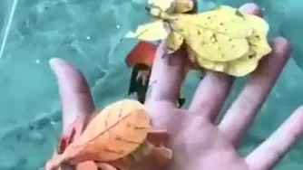 عجایب آفرینش زیر آب