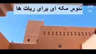نئوم مکه ای برای ربات ها