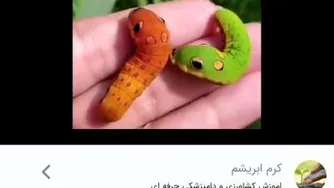 کرم ابریشم