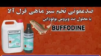 ضدعفونی تخم چشم ماهی غزل آلا