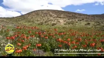 شاهکارموسیقی
