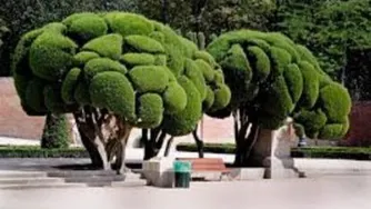 پارک ویژن تارک