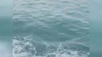 اندکی تفکر