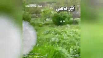 تقدیم به همه ی #تیر ماهی های عزیز تولدتون مبارک 🎉 تیرماه زیبا مبارک 🌺🍃 بف
