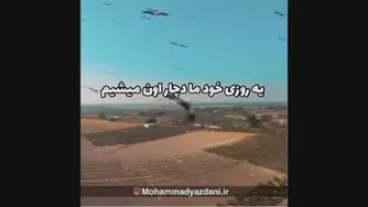 مرغ آمین