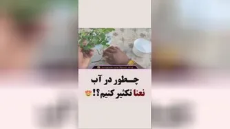 چطوردرآب نفناع تکثیرکنیم😎😻😍🍏