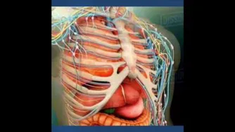 اثبات خداوند در یک دقیقه