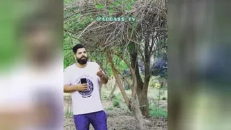 چِش بید؟!