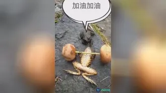 قورباغه وزنه بردار