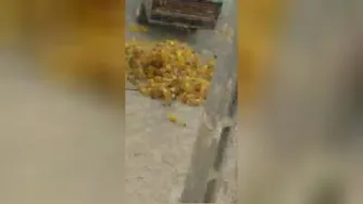 قاچاق روغن در مرز پاکستان