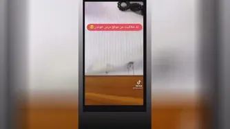 اوج خلاقیت من هنگام درس خواندن
