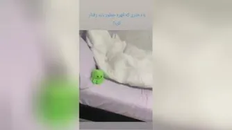 با دختری که قهر کرده چه باید کرد!