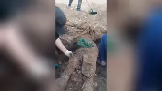 تفحس شهدای مدافع حرم
