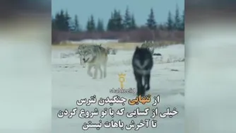 سبک زندگی و روانشناسی