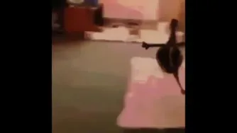 ازار و اذیت رمضون🤣