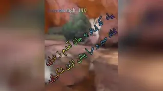 بیا که بی تو به جان آمدم ز تنهایی ...