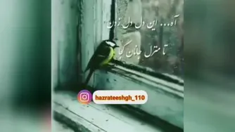 من کجا باران کجا