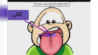 حس چشایی