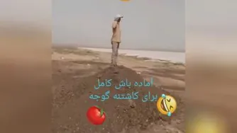 آماده باش برا کاشت گوجه و پیاز😂😂😂