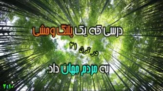 درسی که پلنگ وحشی به انسان قرن 21 داد