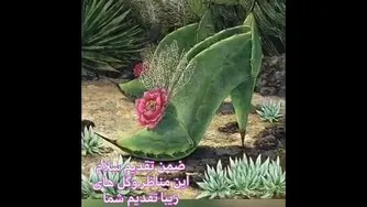 ضمن تقدیم سلام...