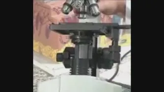علوم ششم درس دهم خیلی بزرگ خیلی کوچک