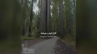 مشاوره چندثانیه با دکترهلاکویی .چرا اینقدرعجله....