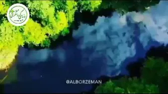 #مازندران_گرگان🌳🌲 خبر خوب اینکه جنگلهای هیرکانی ثبت جهانی شدن...🌳 🌲 جنگل‌ه